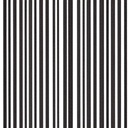 12 IN RETRO STRIPED HEAVY STRAIGHT (ITEM_TK_2792)